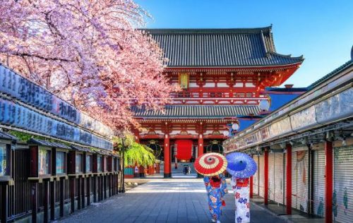 Savor the Beauty of Spring Blossom in Japan with Best Western Hotels