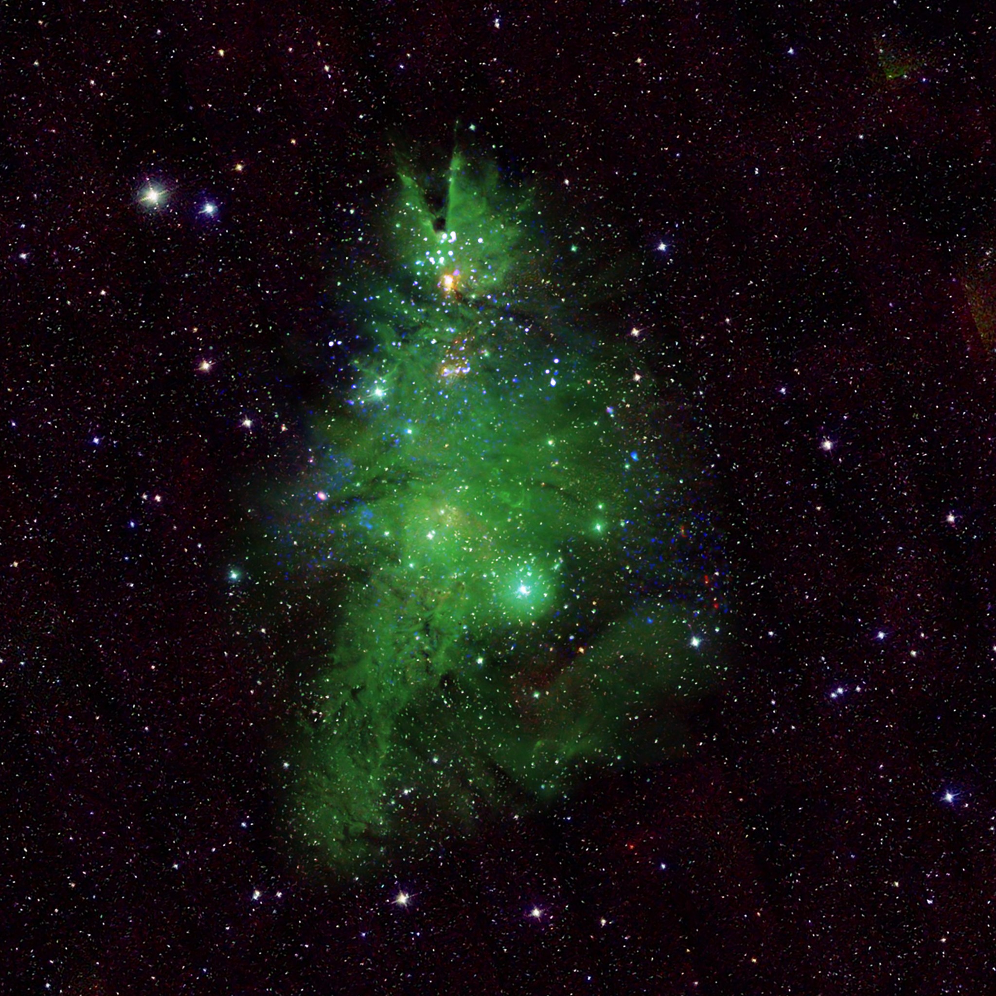 This composite image shows the Christmas Tree Cluster. The blue and white lights (which blink in the animated version of this image) are young stars that give off X-rays detected by NASA’s Chandra X-ray Observatory. Optical data from the National Science Foundation’s WIYN 0.9-meter telescope on Kitt Peak shows gas in the nebula in green, corresponding to the “pine needles” of the tree, and infrared data from the Two Micron All Sky Survey shows foreground and background stars in white. This image has been rotated clockwise by about 160 degrees from the astronomer’s standard of North pointing upward, so that it appears like the top of the tree is toward the top of the image.