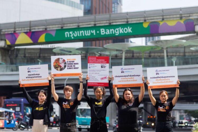 Thailand joins 270 Network Organizations Calling on World Bank to End Funding for Industrial Farms