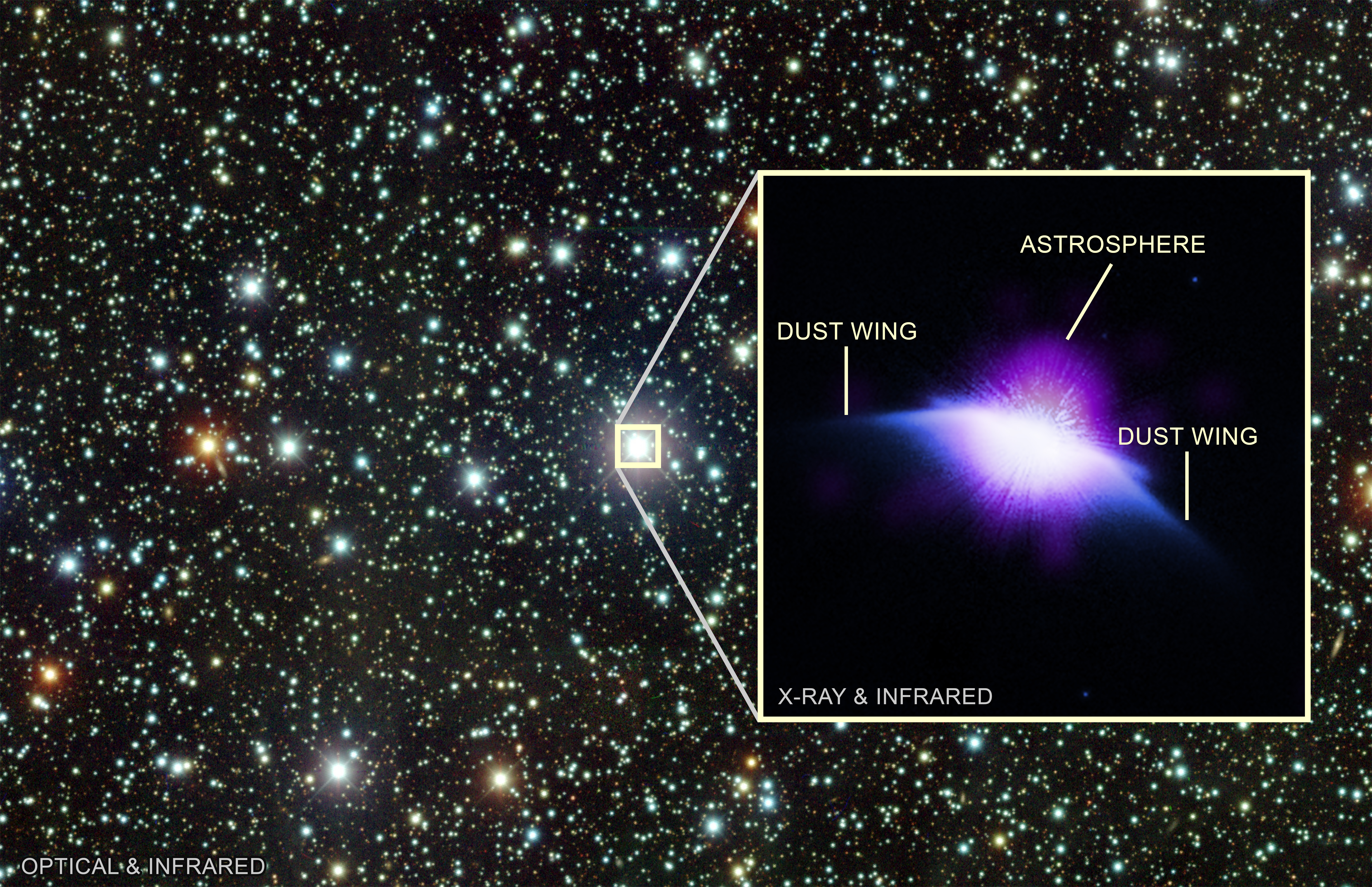 HD 61005 in X-ray, infrared, and optical light, labeled.