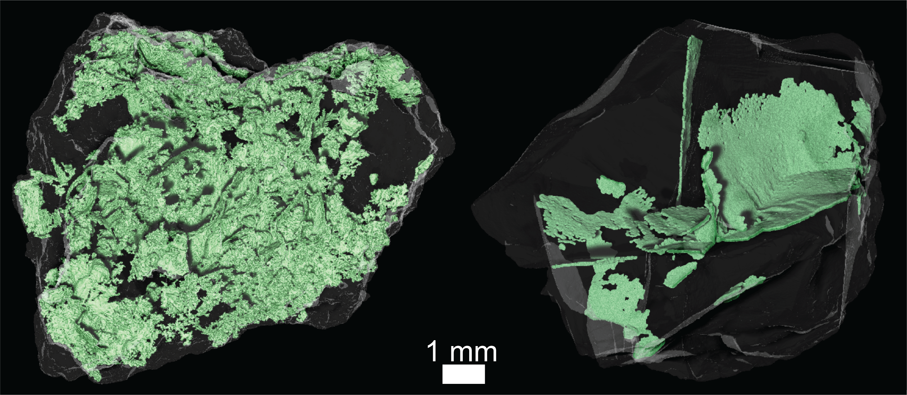 An X-Ray Computed Tomography (XCT) view of two irregularly-shaped, dark grey  particles side-by-side against a black background.