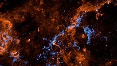 1-spherex-cygnus-h2o-ice-crop-cFjE7l.jpg