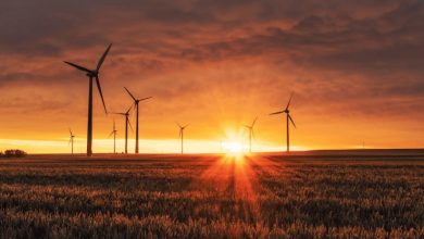 Carbon-Neutral-Group-Reveals-Why-Sustainability-Plans-Can-Fail-ynHVNZ.jpg