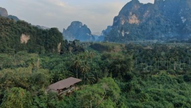 Travel-Sustainability-Anurak-Lodge-in-Thailand-Embraces-the-4Cs-in-its-Regenerative-Travel-Quest-tE2fnL.jpg