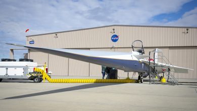 afrc2025-0173-10-lede-gtJxNa.jpg