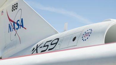 afrc2026-0077-01-rbpG5X.jpg
