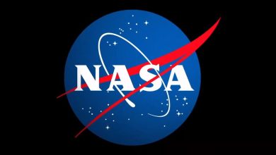 cropped-nasa-meatball-1-mFztV6.jpg