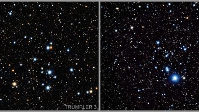 dimming_labeled-YcRpN7.jpg