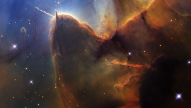 full-res-for-display-t2ON9W.png