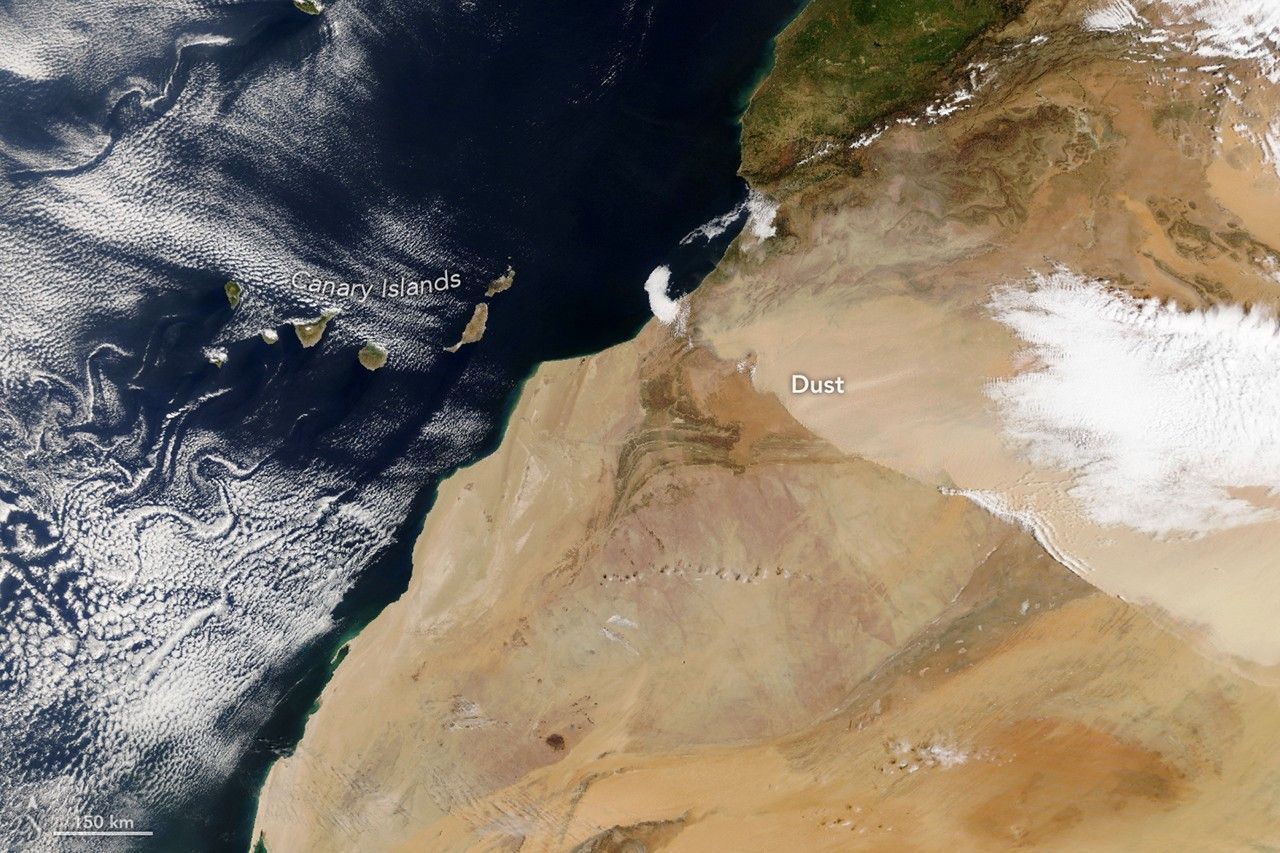 A light-brown dust plume with a defined front spreads over northwestern Africa in the late morning.