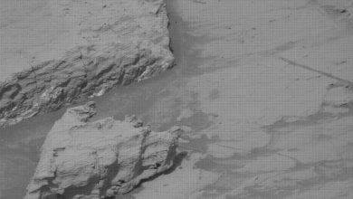 https___mars.nasa_.gov_msl-raw-images_msss_04855_mcam_4855MR1090850082500817C00_DXXX-b8sxLq.jpg