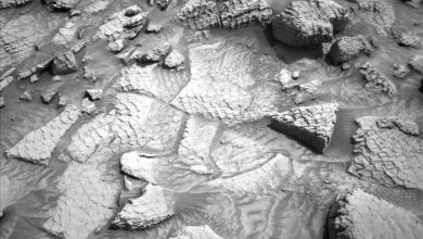 https___mars.nasa_.gov_msl-raw-images_proj_msl_redops_ods_surface_sol_04848_opgs_edr_ncam_NLB_827876004EDR_F1211446NCAM00354M_-7Qcpkl.jpg