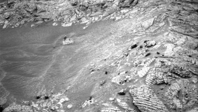 https___mars.nasa_.gov_msl-raw-images_proj_msl_redops_ods_surface_sol_04865_opgs_edr_ncam_NRB_829383958EDR_F1212826NCAM00293M_-X6O4Xl.jpg