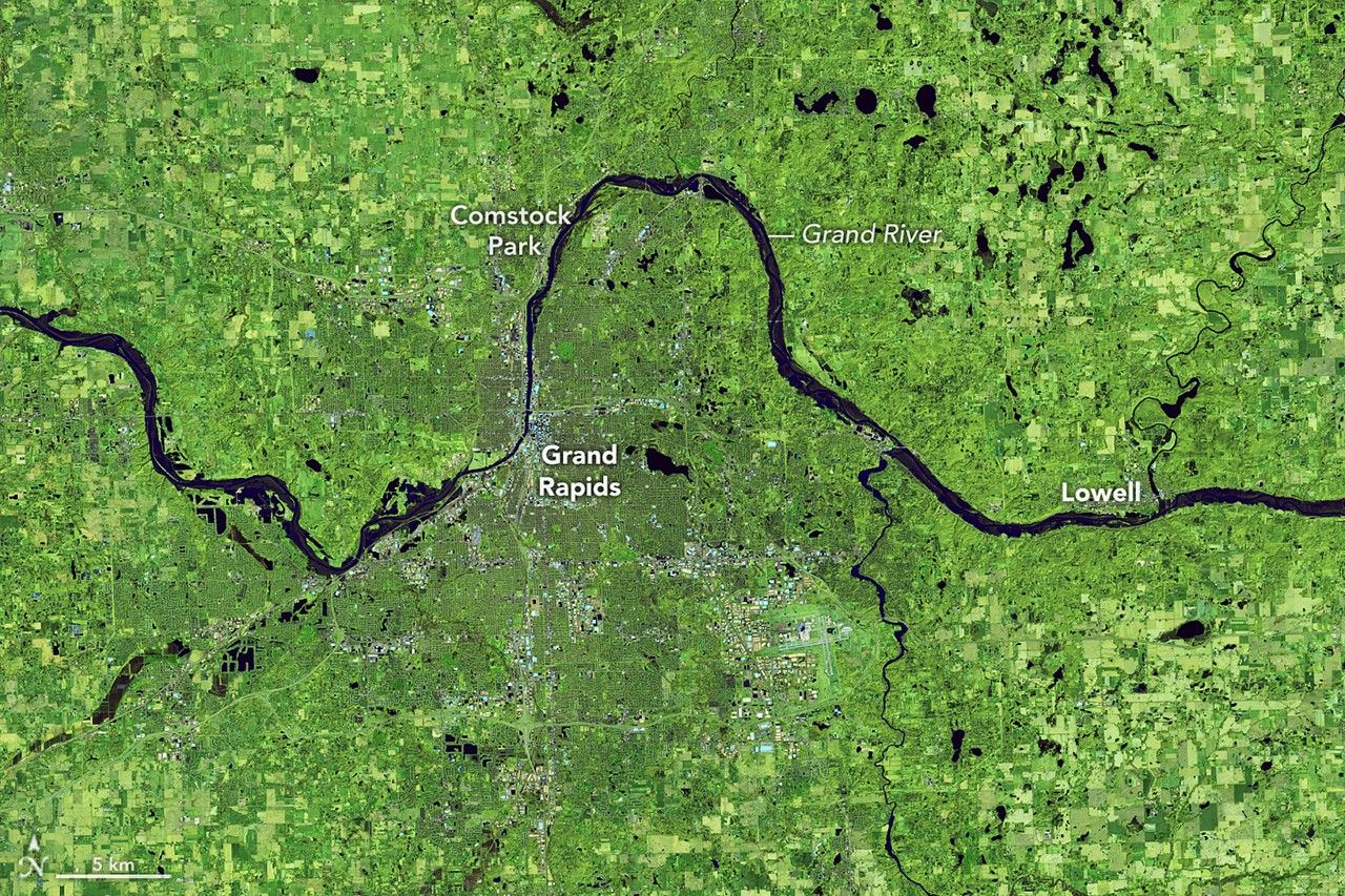 The Grand River in Michigan is wider than the previous year at the same time, swollen with floodwater. Water is dark blue, and vegetation appears in shades of green in this false-color image.
