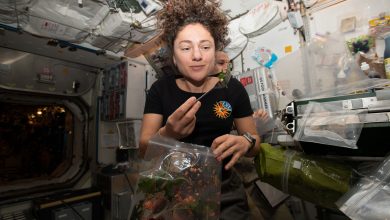 nasa-astronaut-jessica-meir-dines-on-fresh-mizuna-mustard-greens-49025620532-o-5AJWb1.jpg