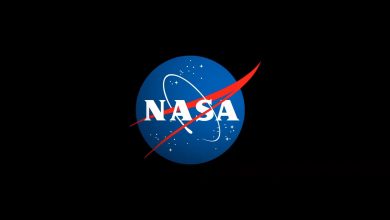 nasa-meatball-1-UFSJfv.jpg