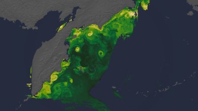 pace_tour_diatom_still_01.05500-UY2OAV.jpg
