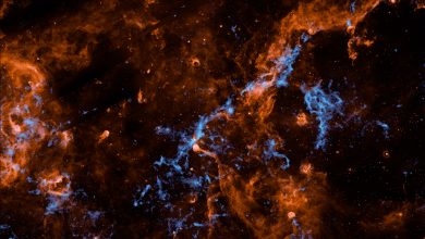 pia26748-spherex-cygnus-h2o-ice-Rpreh2.jpg
