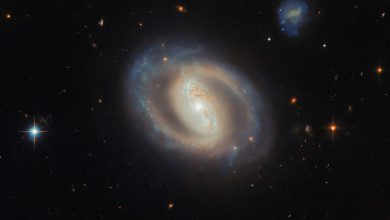 55205768700-7d3f580146-o-prDxoe.jpg