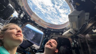 GMT137_12_00_cc esa_sophie adenot_dragon_docking complete_iOS IMG_1332.JPG