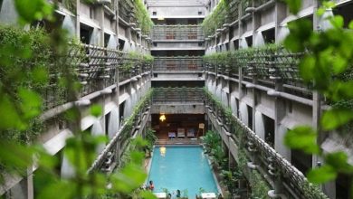 Climate-Friendly-Travel-Services-Announces-New-Initiative-usQBGw.jpg