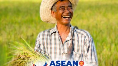 DSWD-NCSC-present-proposed-ASEAN-Framework-on-Unlocking-Silver-Economy-CGVjYT.jpg