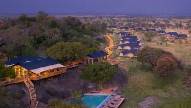 Family-friendly-Warangi-Ridge-Serengeti-e1778210889198-FVrZfu.jpg