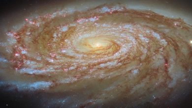 Hubble_M88_potm2605a-XrNz6U.jpg