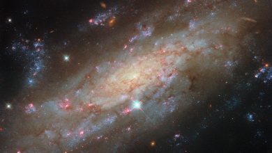 Hubble_NGC3137_potm2604a-Gr6iaZ.jpg