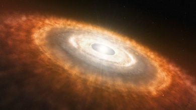 STScI-01HFQ61R8HQ2TCA7HDKXA1N1C6-AhJsje.jpg