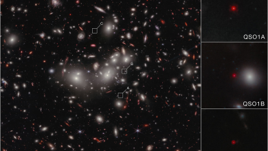STScI-01KR482A7ZQEB4NJCM25BP8GA8-88dTFM.png