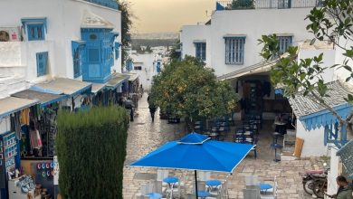 Tunisia-Strengthens-Its-Commitment-to-Sustainability-Standards-8QaZjm.jpg