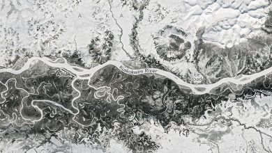 alaskaicebreak_oli2_20260421-wgT8zk.jpg