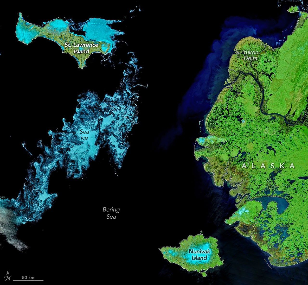 A false-color satellite image shows two large islands west of mainland Alaska. Sea ice fragments appear light blue and form swirling patterns in the ocean. The land appears mostly light green, interrupted by many small ponds and a large river delta.