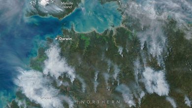 australiafires_amo_20260528-hFgFVG.jpg