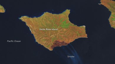 channelislandsfire653_oli2_20260516-OjZMnT.jpg
