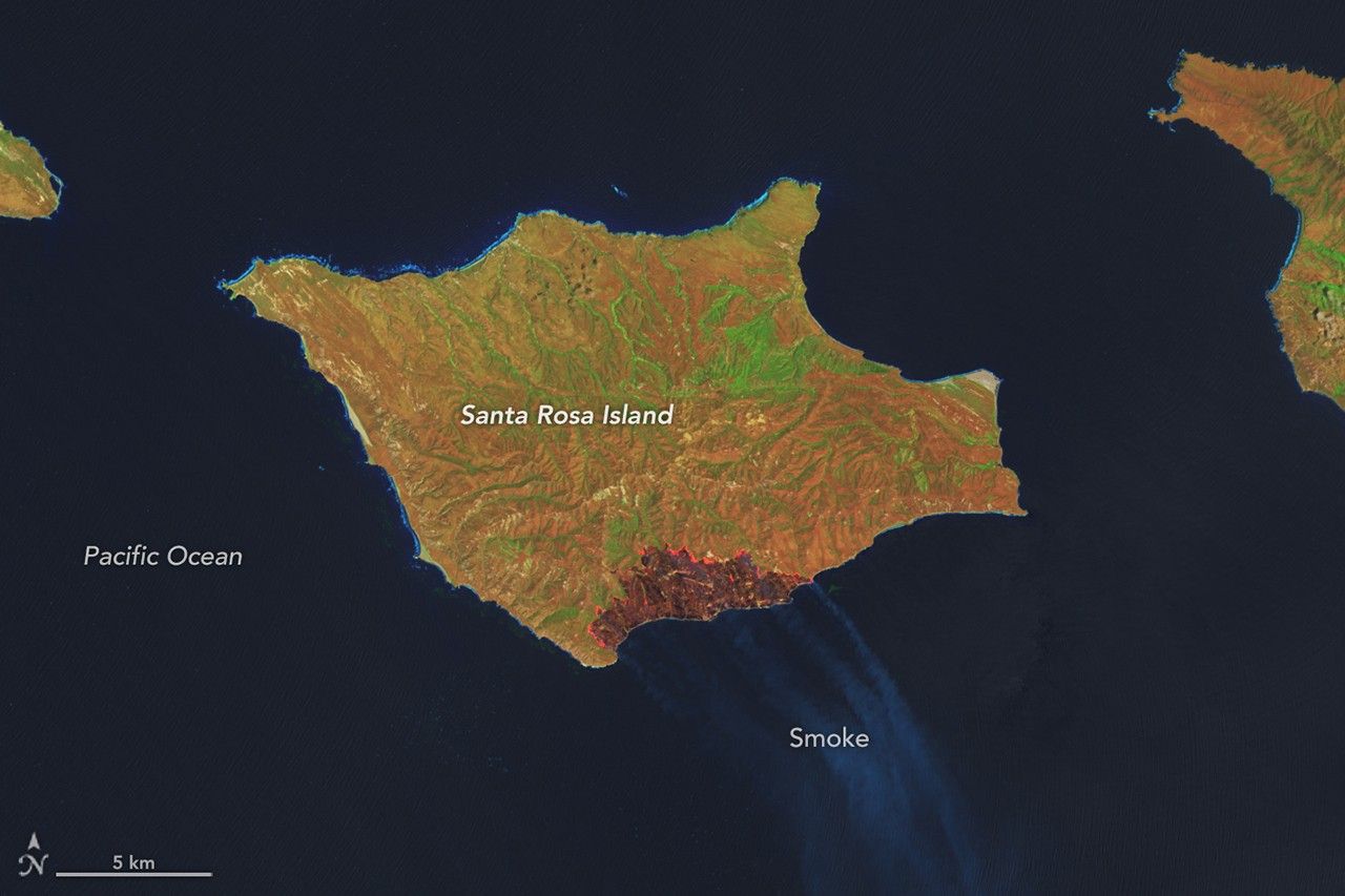 A false-color image of Santa Rosa Island from May 16, 2026, shows a dark-brown burned area toward the bottom-right. A thin, bright orange line runs along the burned area, indicating the active fire front.