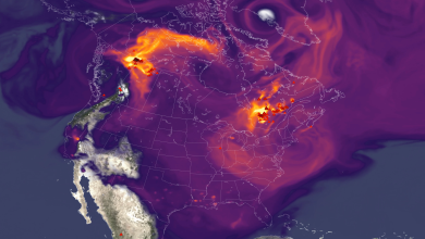 goes-fp-cobbna-nam-jun2023_00231-1-TM1ZlZ.png