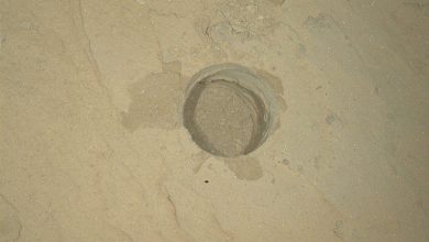 https___mars.nasa_.gov_msl-raw-images_msss_04887_mhli_4887MH0004350001800890R00_DXXX-ucSbEw.jpg