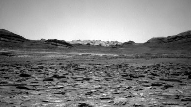 https___mars.nasa_.gov_msl-raw-images_proj_msl_redops_ods_surface_sol_04916_opgs_edr_ncam_NLB_833905570EDR_S1221260NCAM00268M_-78s87d.jpg