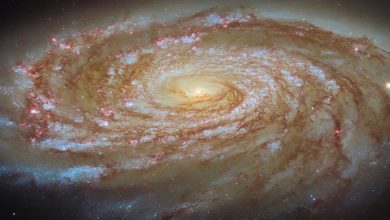 hubble-m88-potm2605a-2XRKDh.jpg