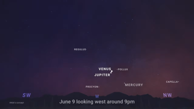 june9-fpFuvs.png