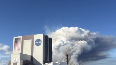 kennedy-prescribed-burn-january-2026-LPm1s0.jpg