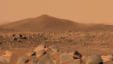 mars-MKbNSM.jpg