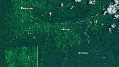 papuanewguinea_landslide_oli2_20250924-ES95DT.jpg