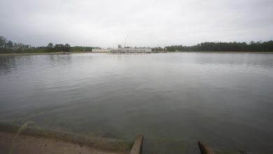 ssc-20260507-s00393h-krrGJa.jpg
