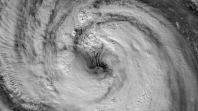 typhoonjangmieye_vir_20260530-wlkGuD.jpg