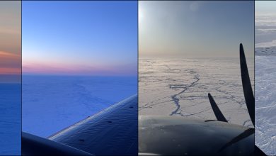 1-sea-ice-quadriptych-G3K3f1.jpg