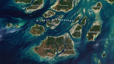 bijagosarchipelago_oli_20251128-YfKdLu.jpg