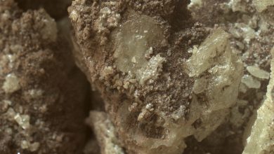 nasa-iotd-curiosity-takes-a-close-look-at-martian-sulfur-crystals-haRLGm.jpg